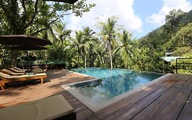 360 Rainforest