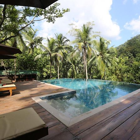 360 Rainforest Deniyaya Zewnętrze zdjęcie