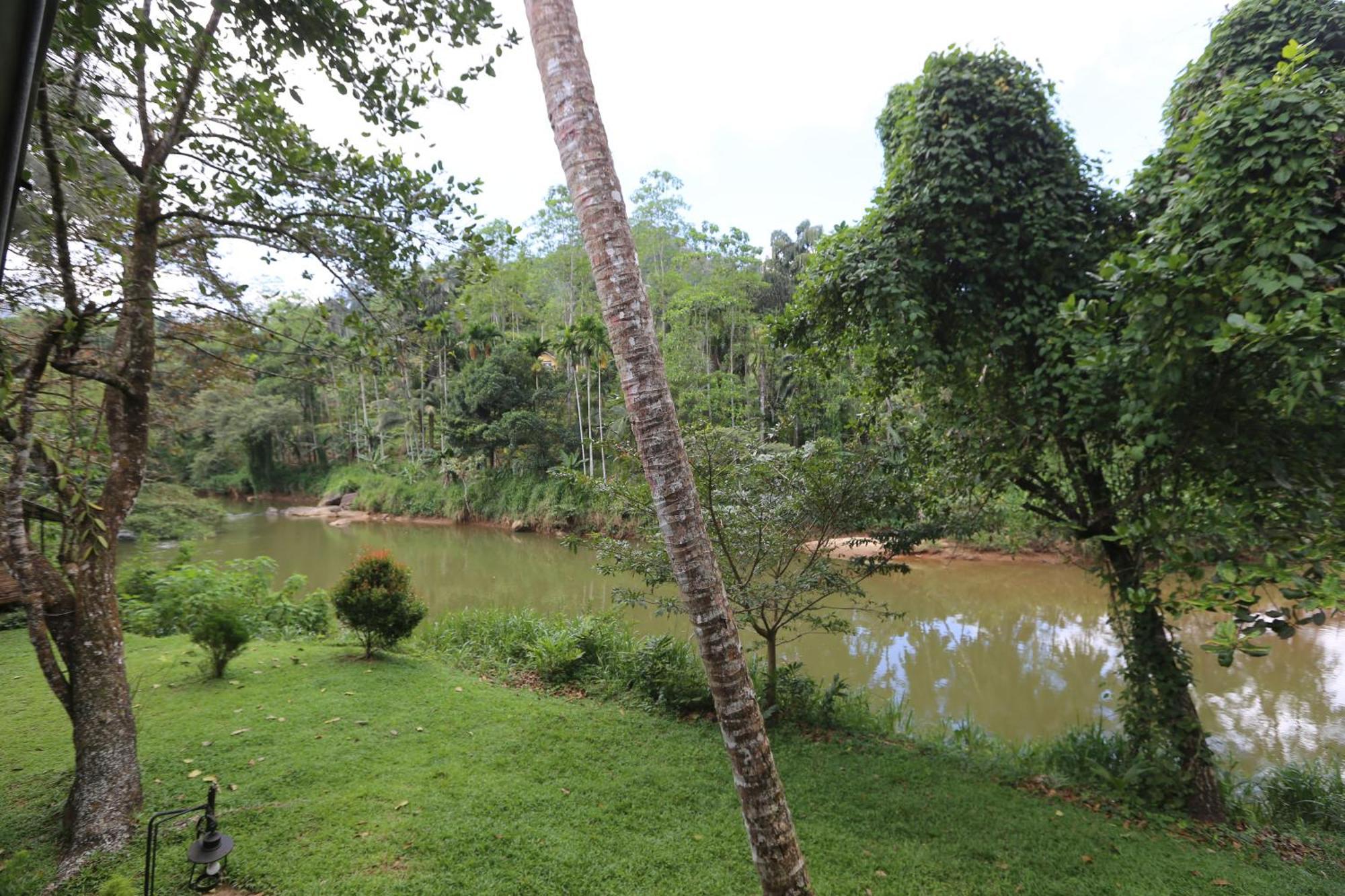 360 Rainforest Deniyaya Zewnętrze zdjęcie