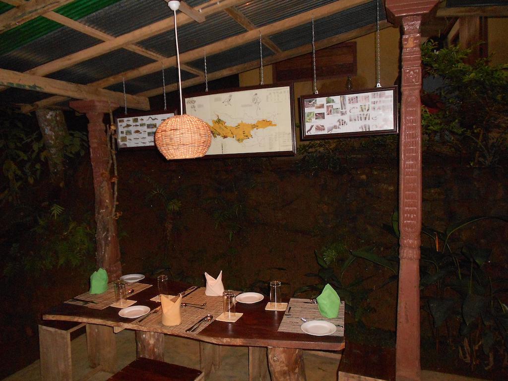 360 Rainforest Deniyaya Pokój zdjęcie