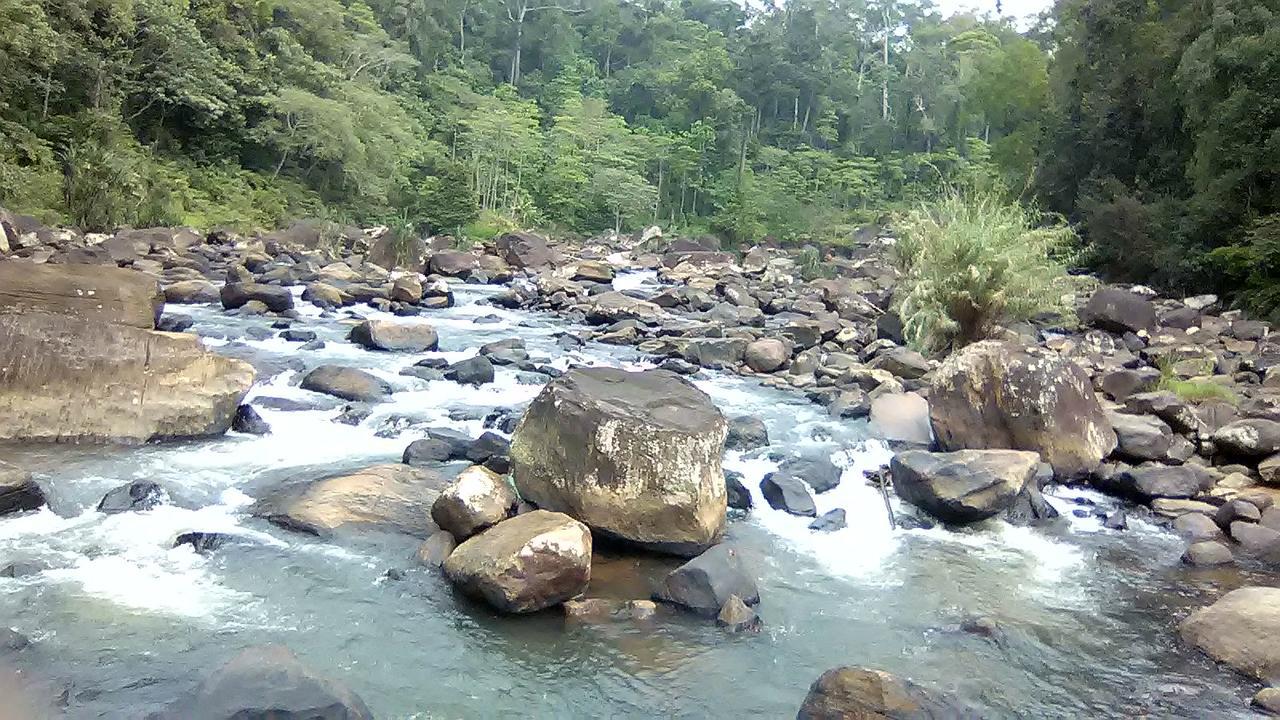 360 Rainforest Deniyaya Zewnętrze zdjęcie