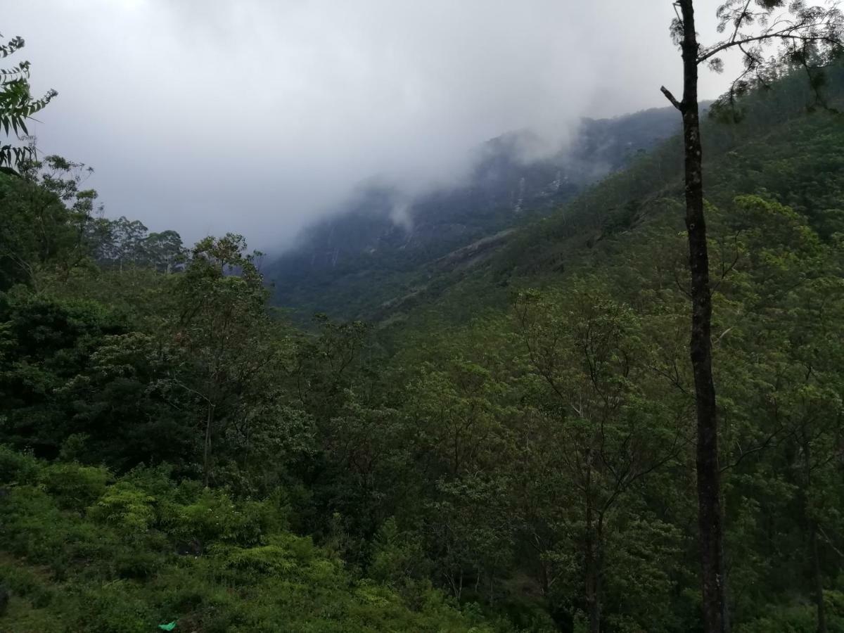 360 Rainforest Deniyaya Zewnętrze zdjęcie