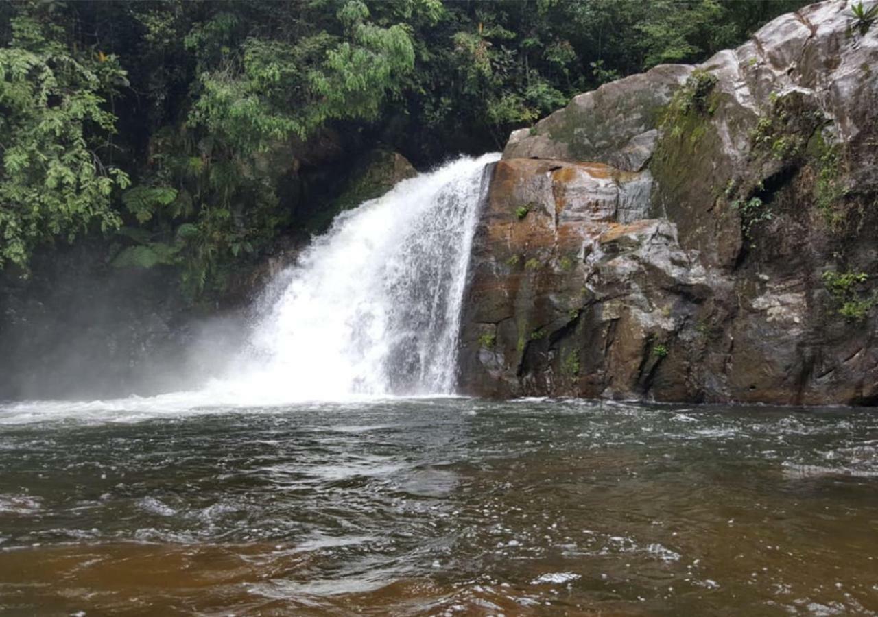 360 Rainforest Deniyaya Zewnętrze zdjęcie