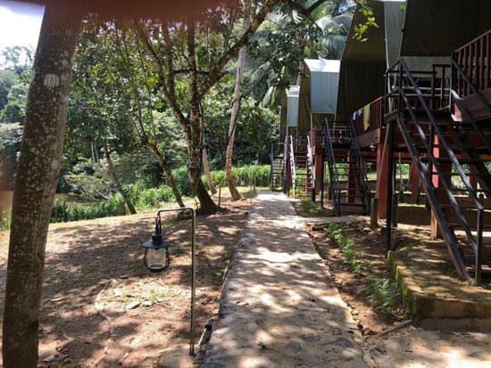 360 Rainforest Deniyaya Zewnętrze zdjęcie