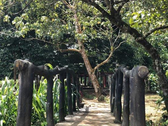 360 Rainforest Deniyaya Zewnętrze zdjęcie