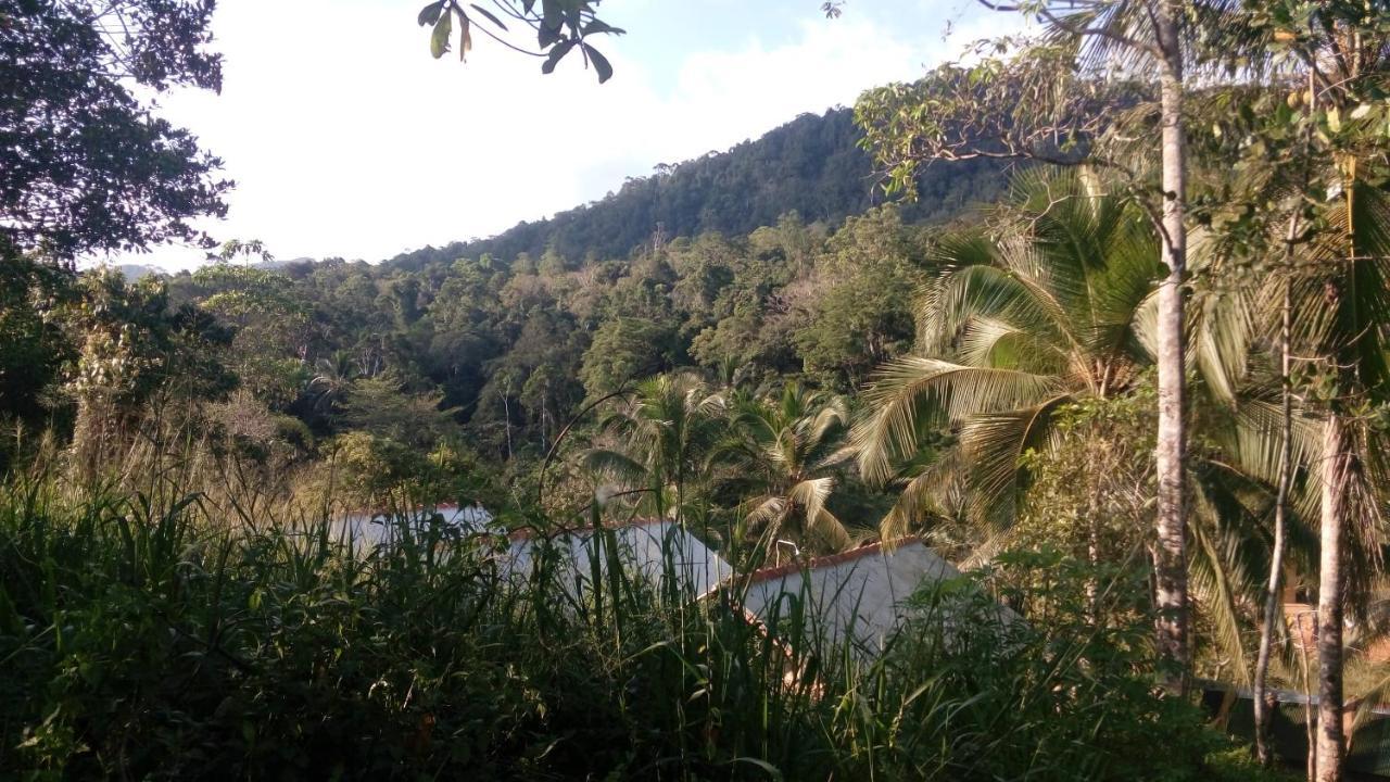 360 Rainforest Deniyaya Zewnętrze zdjęcie